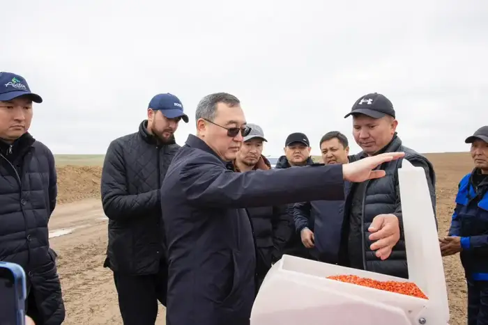 Пастбища Жамбылского района: от зелёных просторов к плодородным полям {city2}