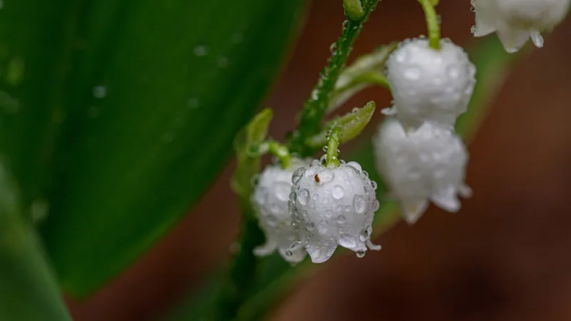 Синоптики Казгидромета прогнозируют потепление в Астане и дожди в Алматы с 28 по 30 апреля {city2}