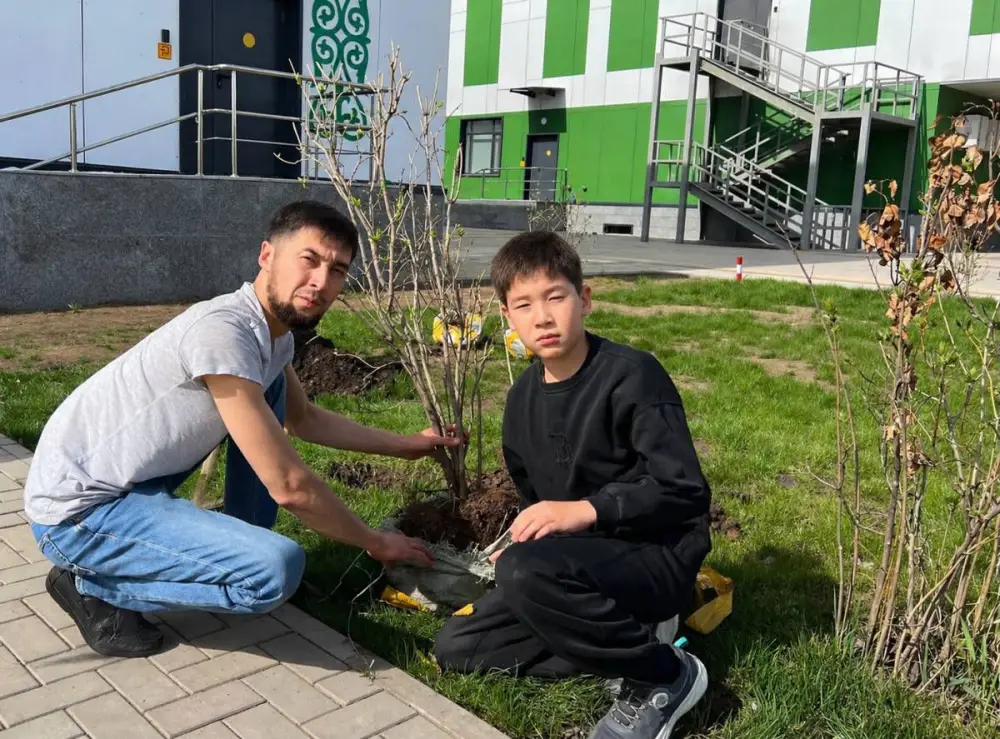 Озеленение школьного двора в Астане высажены яблони и растения {city2}
