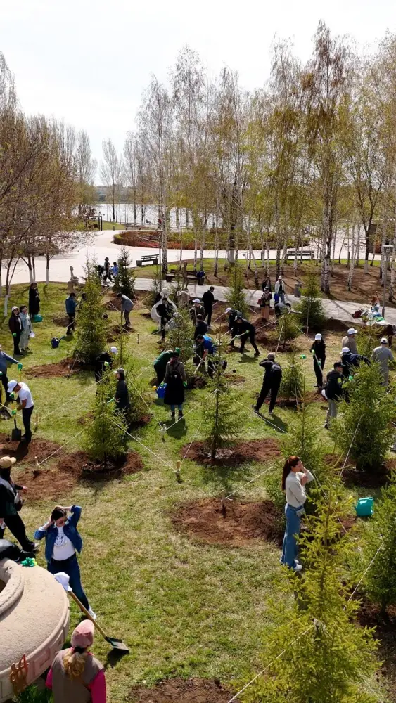 Посадка 300 деревьев в парке «Ататюрк»: вклад в экологическое будущее города {city2}