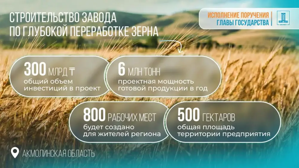 В Казахстане одобрено строительство завода по глубокой переработке зерна в Акмолинской области с инвестициями 300 млрд тенге {city2}