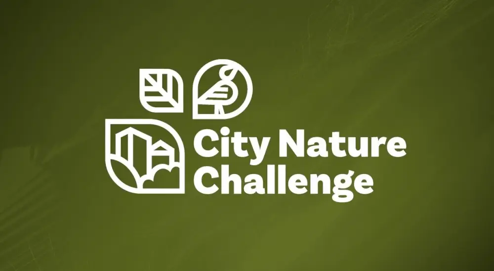 Караганда: город-лаборатория природы в международном вызове City Nature Challenge {city2}