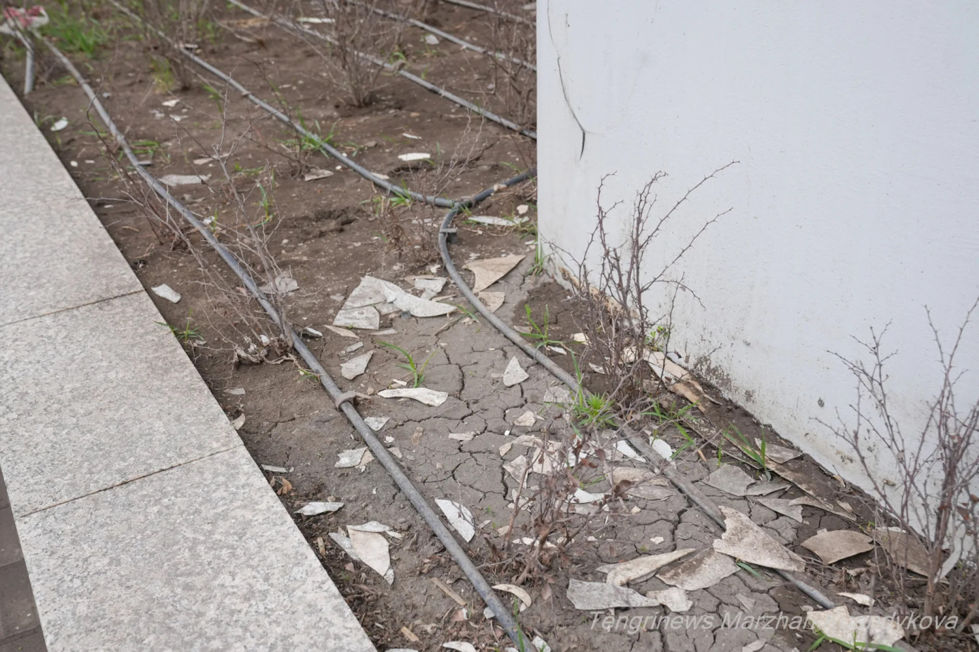 отслоившаяся краска на Астана LRT