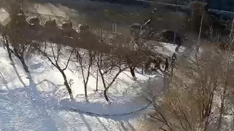 Кастеты в школе: зубы на асфальте Астаны {city2}