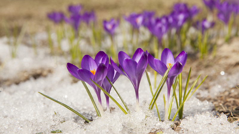 Температурный рекорд в Казахстане: март 2026 года с сильными морозами и аномальным теплом {city2}