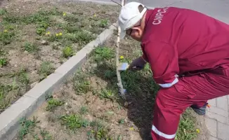В Астане прошёл субботник: сотрудники ТРЦ высадили 350 деревьев в рамках акции «Таза Қазақстан»