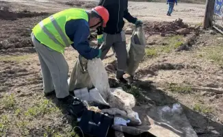 120 тысяч жителей Астаны высадили 10 тысяч деревьев в рамках экоакции «Таза Қазақстан»