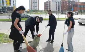 5,5 млн деревьев и 2 млн тонн отходов!