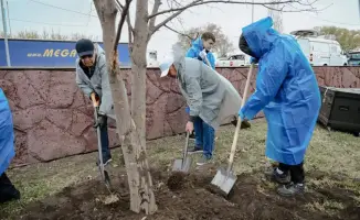 Экологическая акция Таза Қазақстан высадка 70000 деревьев