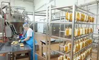 Развитие агропромышленности в Костанайской области: инвестиционные проекты как катализатор изменений