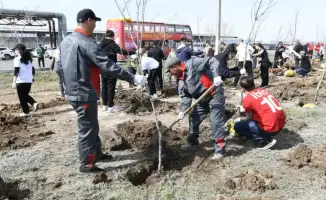 Посадка деревьев в Астане: вклад ресторанного и гостиничного бизнеса в экологию города