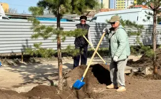 В Астане активизировалась акция по озеленению в рамках «Таза Қазақстан»