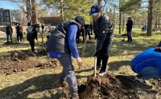 Успех экологической инициативы в Лисаковске: 1150 новых деревьев и активизация молодежи в заботе о природе
