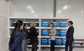 Рабочий визит С. Бейсеновой в Алматинскую область: оценка эпидемиологической ситуации и перспективы улучшения санитарного контроля
