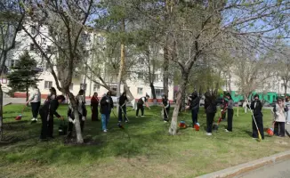 Культурные работники Астаны объединяются для экологической инициативы
