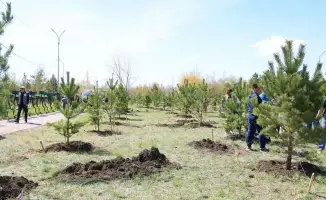 Караганда: 1500 деревьев высажены в рамках республиканского экосубботника