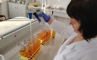 Запатентованные засухоустойчивые сорта растений Казахстана с повышенной урожайностью