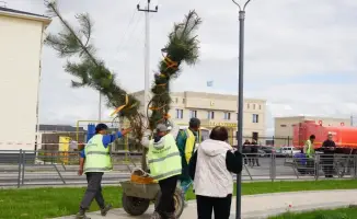 Международная акция по озеленению в Казахстане: 300 участников высадили 1200 саженцев в рамках программы "Таза Казахстан"