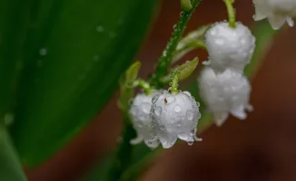 Синоптики Казгидромета прогнозируют потепление в Астане и дожди в Алматы с 28 по 30 апреля