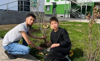 Озеленение школьного двора в Астане высажены яблони и растения