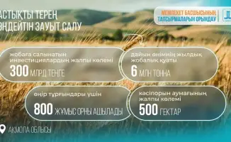 Казахстан инвестирует в переработку зерна: новый завод в Акмолинской области повысит продовольственную безопасность страны