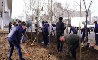 Генеральная прокуратура высаживает деревья в рамках акции «Таза Қазақстан»