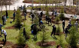 Посадка 300 деревьев в парке «Ататюрк»: вклад в экологическое будущее города