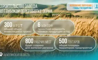 В Казахстане одобрено строительство завода по глубокой переработке зерна в Акмолинской области с инвестициями 300 млрд тенге