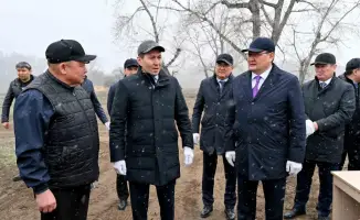 Посадка деревьев в Семее: вклад фонда «Самрук-Казына» в экологическую устойчивость региона