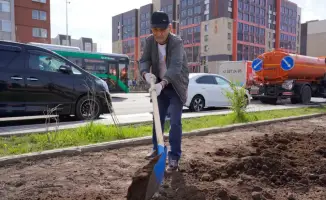 Зеленая симфония: активные жители столицы заполнили район свыше 350 новыми деревьями