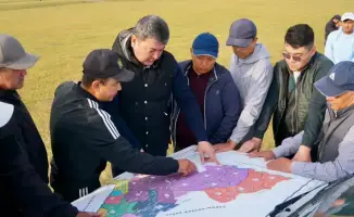 Обследование территории на предмет саранчи в Туркестанской области