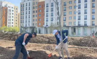 Деревья для здоровья: врачи сажают будущее!