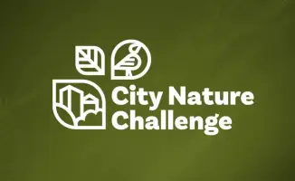 Караганда: город-лаборатория природы в международном вызове City Nature Challenge