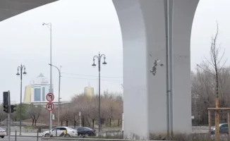 Краска на опорах LRT: что скрывает шелушение?