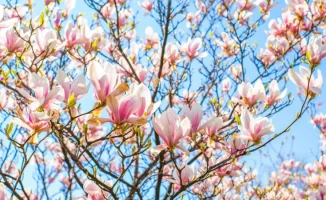 Казахстан: от морозов к летнему зною за три дня!