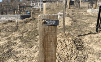 Последний путь безродных: как в Казахстане хоронят тех, кто остался один