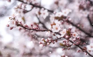 Прогноз погоды в Казахстане: снег и заморозки 25-27 апреля от Казгидромета