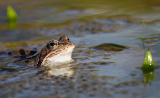 Астана: резкое похолодание, Алматы: грозы на выходных