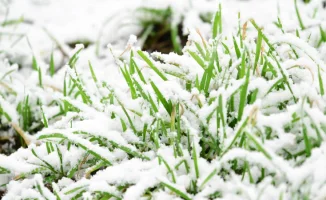 Казахстан: зима возвращается с белым покрывалом в апреле