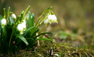 Казахстан: дождь и заморозки — весна в шоке!