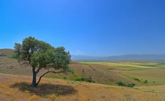 Прогноз погоды в Казахстане: жара до 32 градусов 23-25 апреля от синоптиков Казгидромета