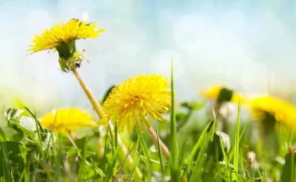 Май 2026: от жары до заморозков — что ждать?