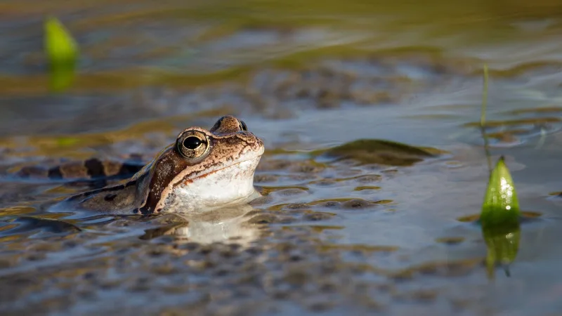 Астана: резкое похолодание, Алматы: грозы на выходных {city2}