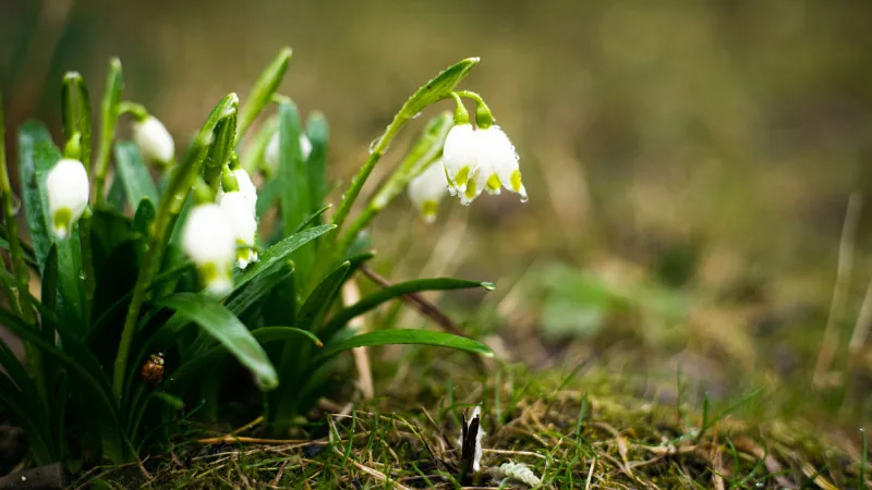 Казахстан: дождь и заморозки — весна в шоке! {city2}