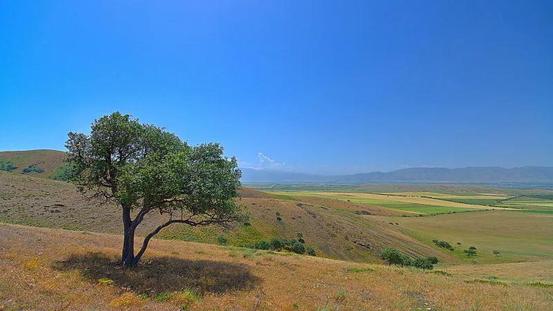 Прогноз погоды в Казахстане: жара до 32 градусов 23-25 апреля от синоптиков Казгидромета {city2}