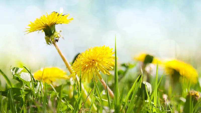 Май 2026: от жары до заморозков — что ждать? {city2}