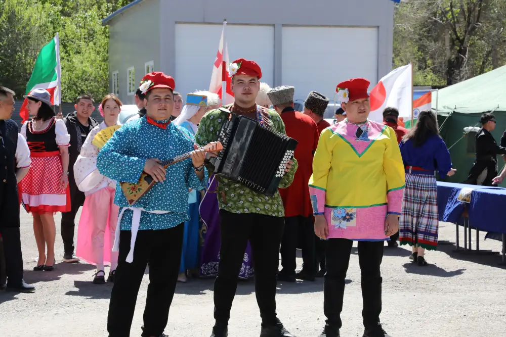 Сила многообразия в системе МЧС (5)