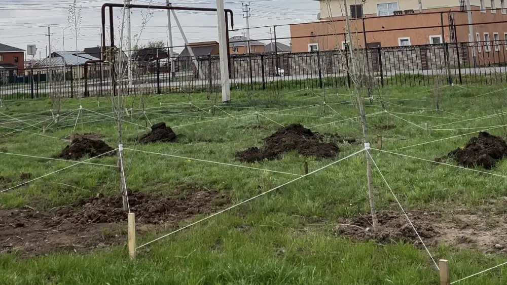 Защита природы - общий долг! (3)