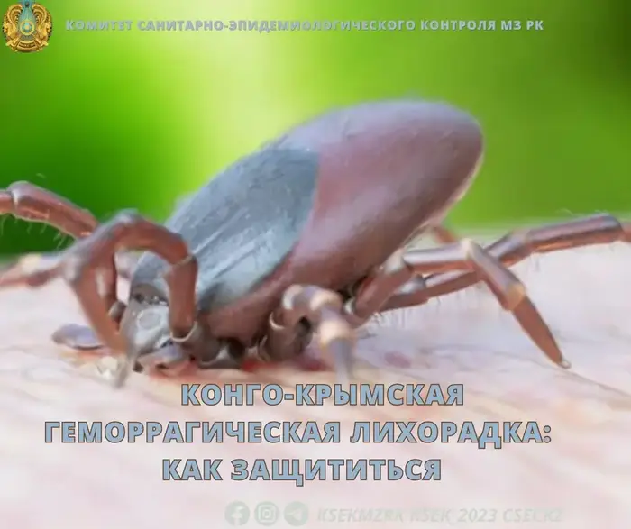 Конго-Крымская геморрагическая лихорадка: факты и меры защиты на месте {city2}