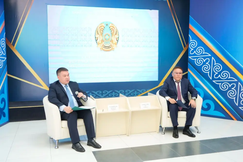 В Жетісу за 2 года газифицируют 13 населённых пунктов (6)